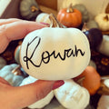 Customized Personalized Pumpkins, Mini Pumpkin Decorations, Halloween Pumpkins, Halloween Decorations, Halloween Gifts, Home Decor, Halloween Decorations, Halloween Pumpkins