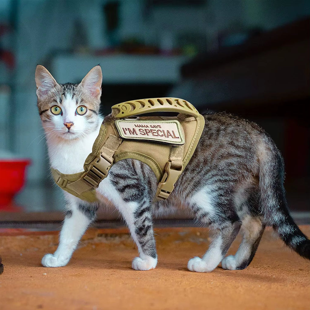 Tactical Cat Harness for Walking Escape Proof Adjustable Pet Vest Harness Soft Mesh with Control Handle for Large Cat Small Dog
